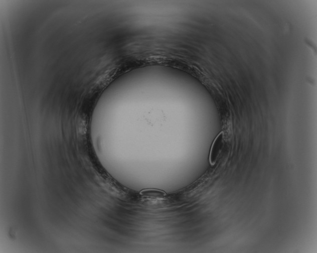 X0000091720472200709211004