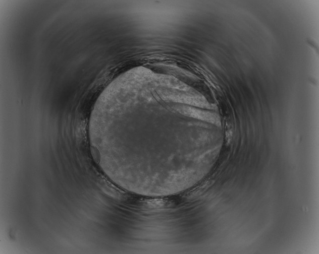 X0000091720473200709211004