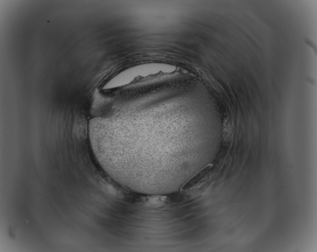 X0000091720474200709211004