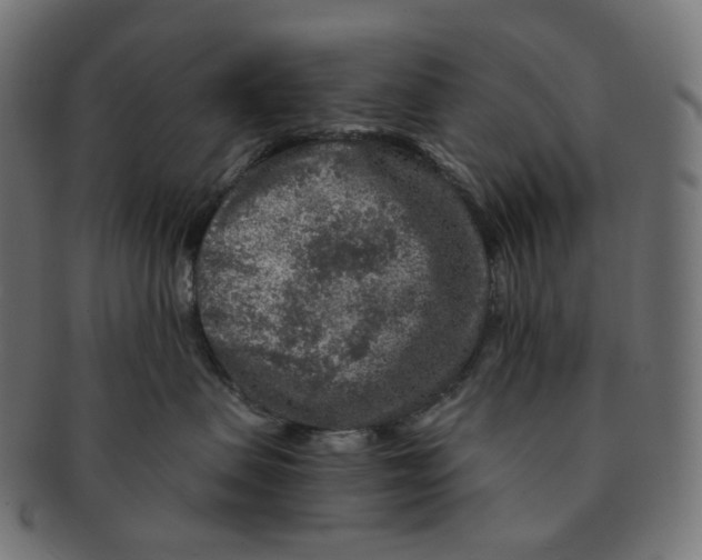 X0000091720479200709211004