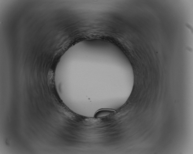 X0000091720480200709211004