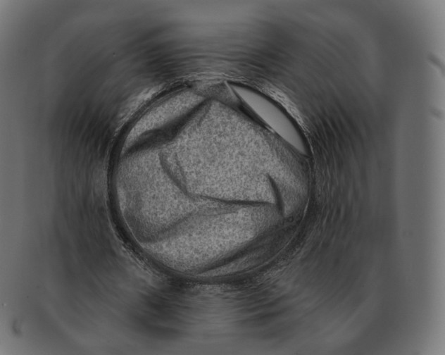 X0000091720482200709211004