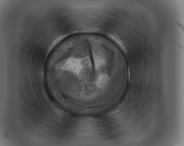 X0000091720483200709211004