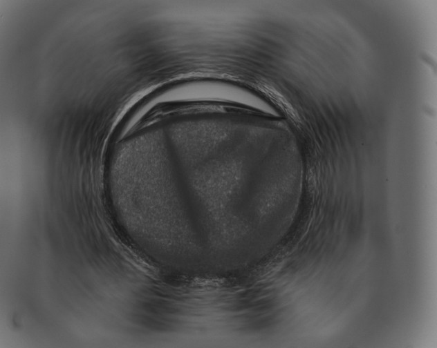 X0000091720484200709211004