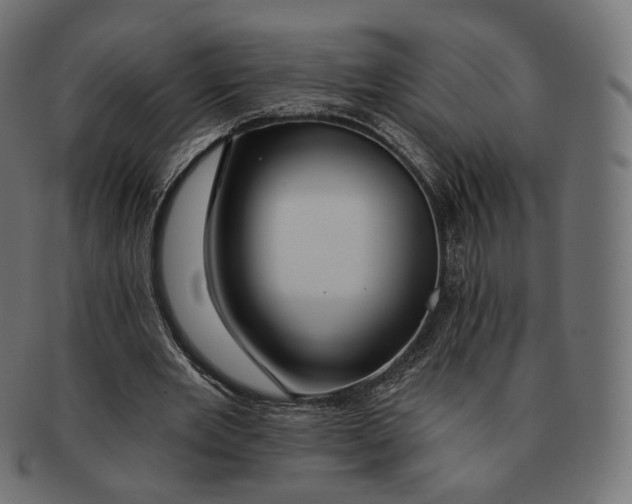 X0000091720485200709211004