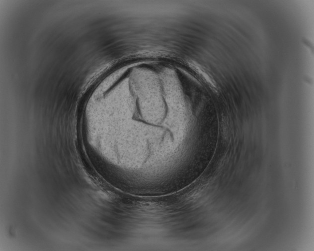 X0000091720486200709211004