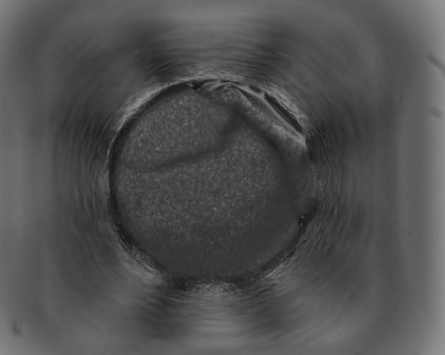 X0000091720488200709211004