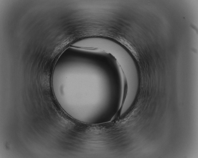 X0000091720489200709211004