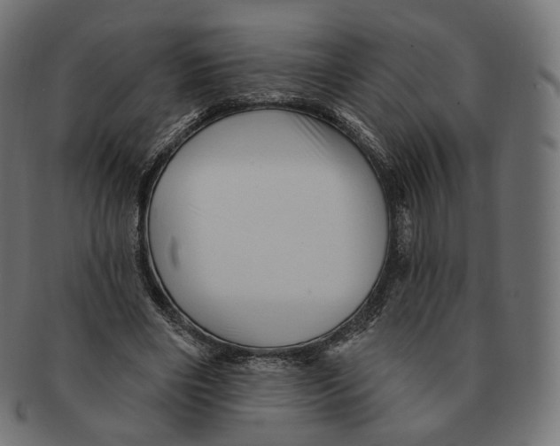 X0000091720490200709211004