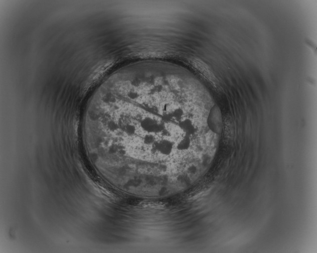 X0000091720491200709211004