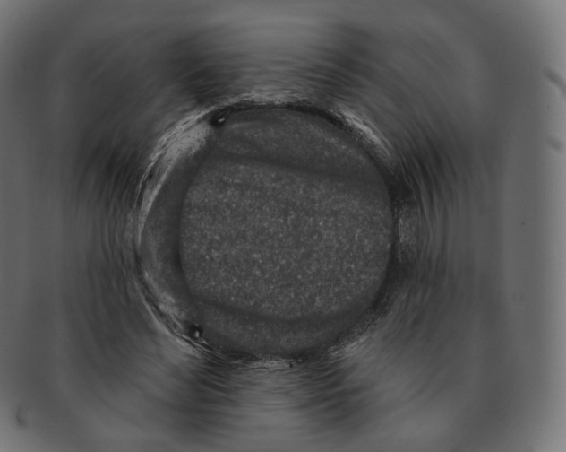 X0000091720492200709211004