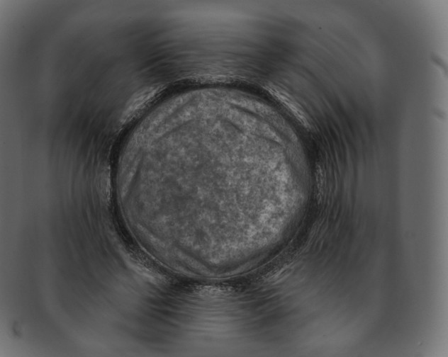 X0000091720494200709211004