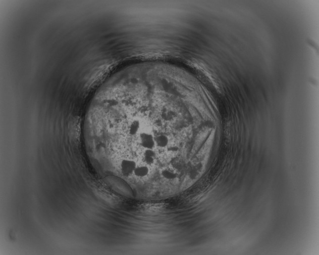 X0000091720495200709211004