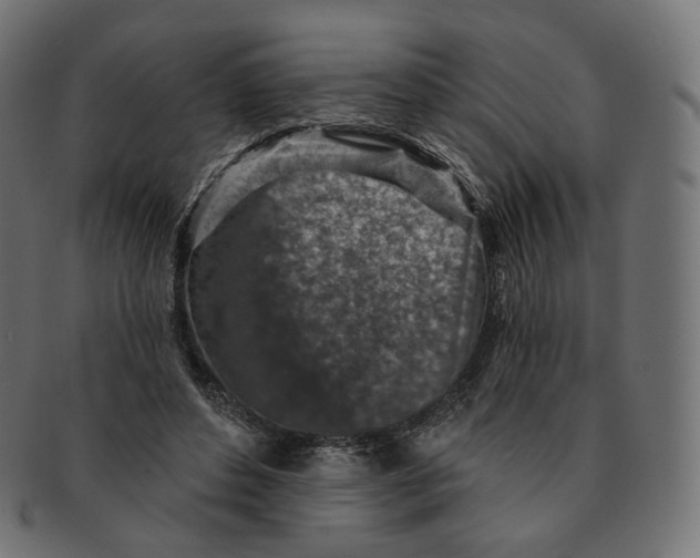 X0000091720496200709211004