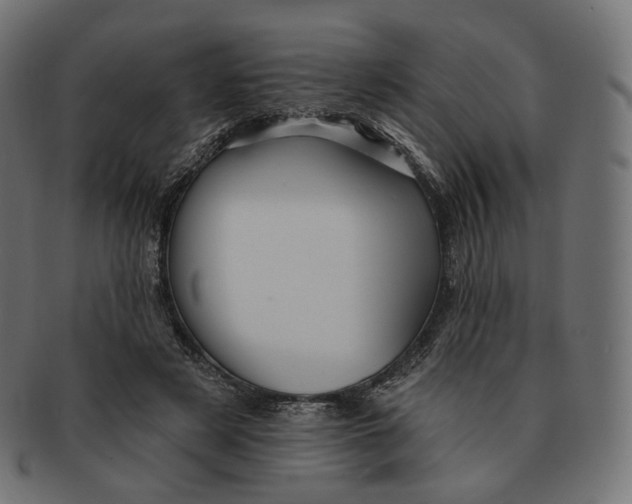 X0000091720497200709211004