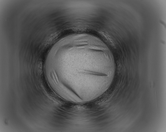 X0000091720498200709211003