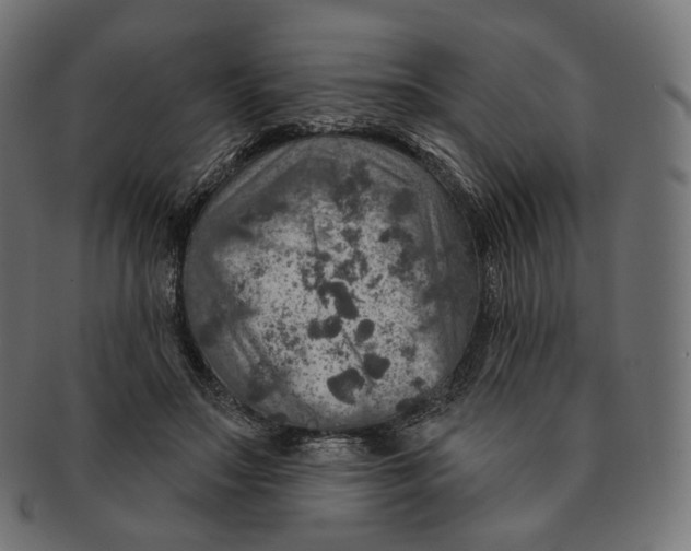 X0000091720499200709211003