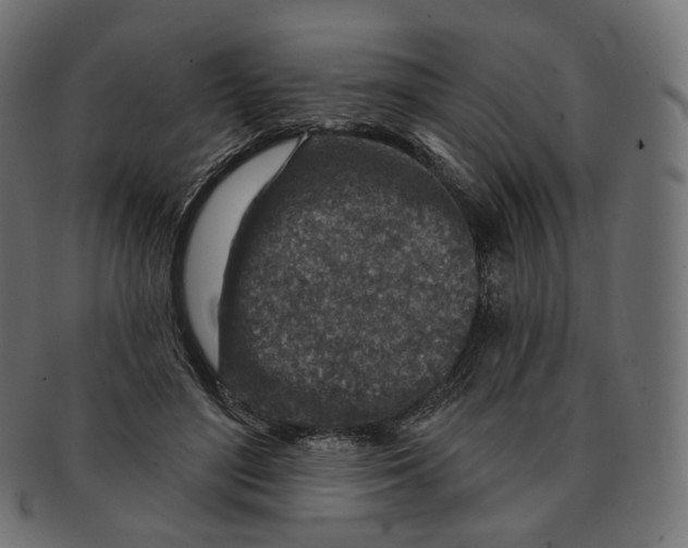 X0000091720500200709211003