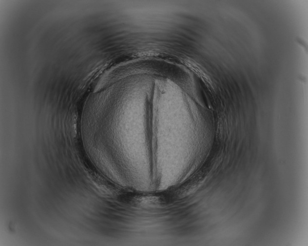 X0000091720501200709211003