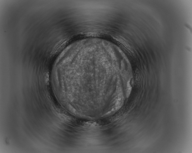 X0000091720502200709211003