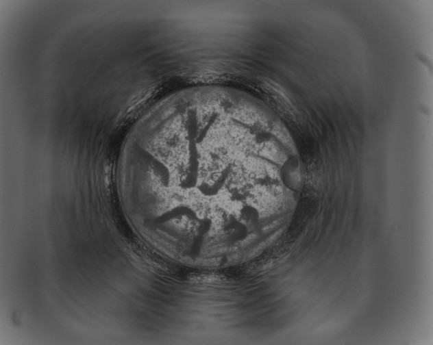 X0000091720503200709211003