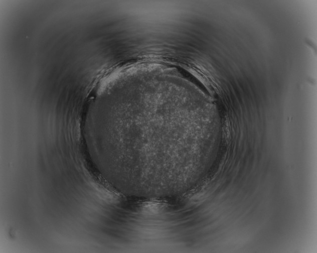 X0000091720504200709211003