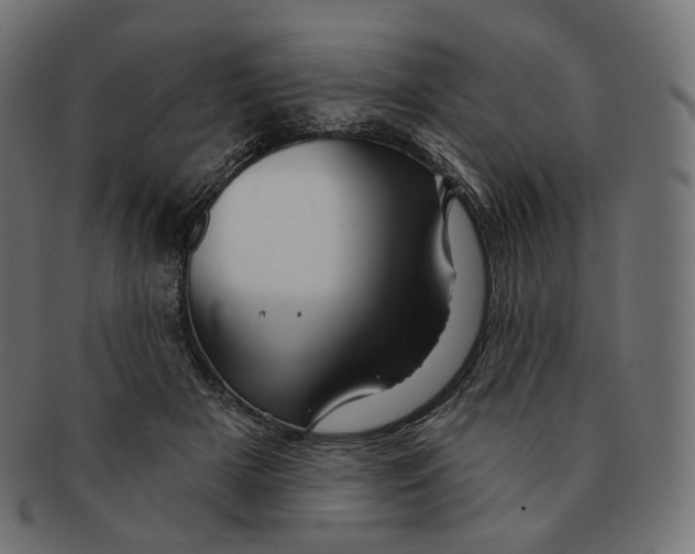 X0000091720505200709211003