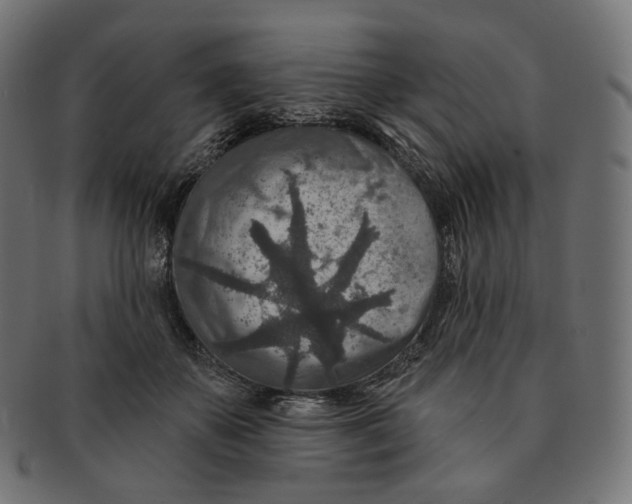 X0000091720507200709211003