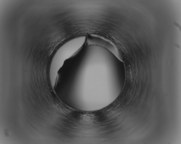 X0000091720508200709211003