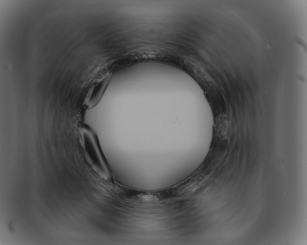 X0000091720509200709211003