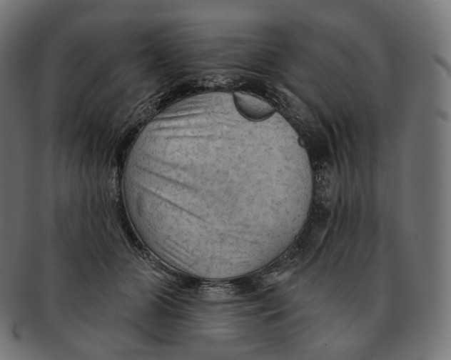 X0000091720510200709211003