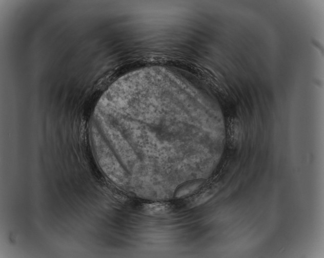 X0000091720511200709211003