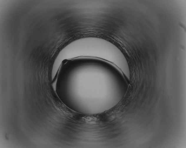 X0000091720512200709211003