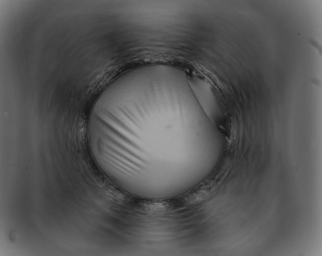 X0000091720513200709211003