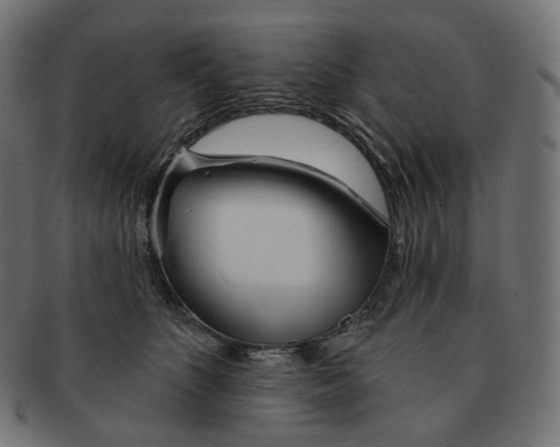 X0000091720516200709211003