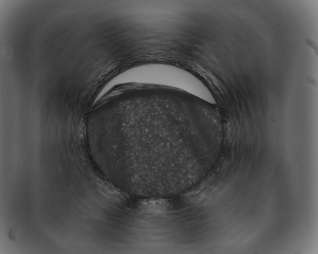 X0000091720517200709211003