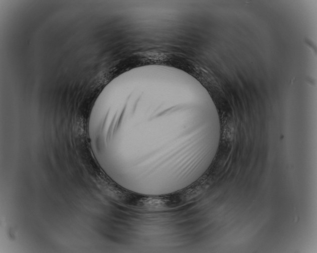 X0000091720518200709211003