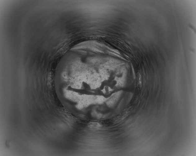 X0000091720519200709211003