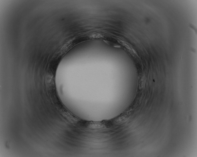 X0000091720521200709211003