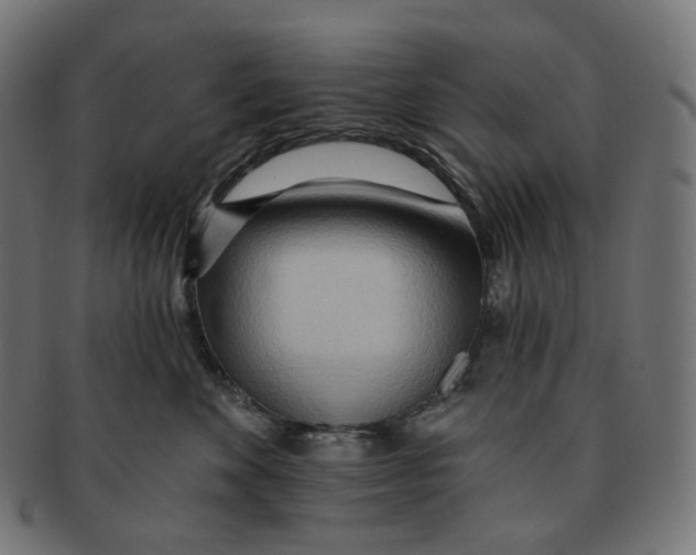 X0000091720524200709211003