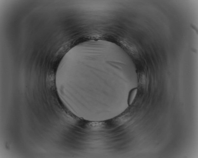 X0000091720526200709211003