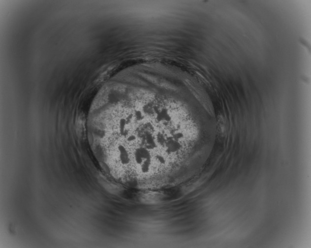 X0000091720527200709211003