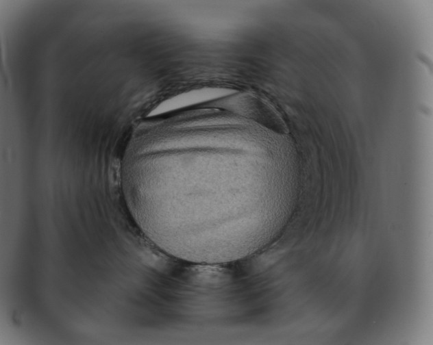 X0000091720528200709211003