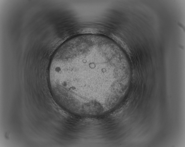 X0000091720529200709211003