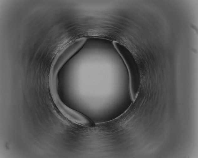 X0000091720530200709211003