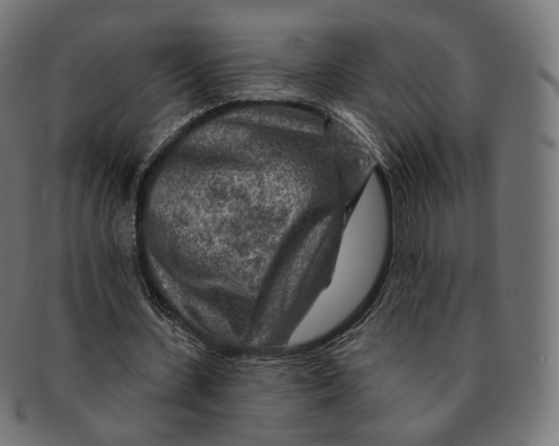 X0000091720531200709211003