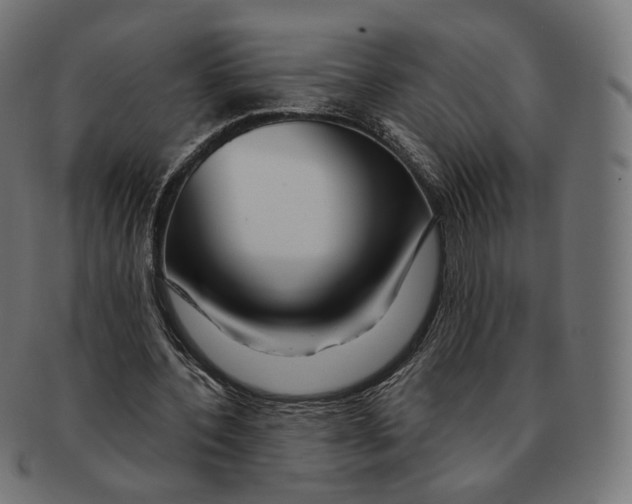 X0000091720532200709211003