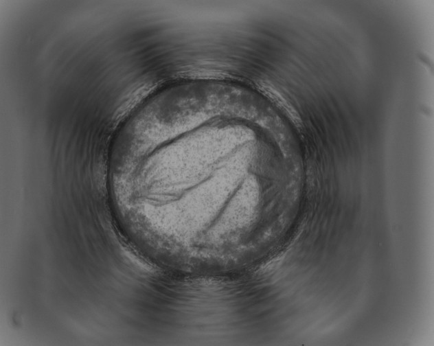 X0000091720533200709211003