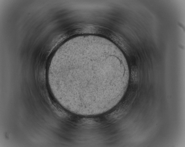 X0000091720534200709211003