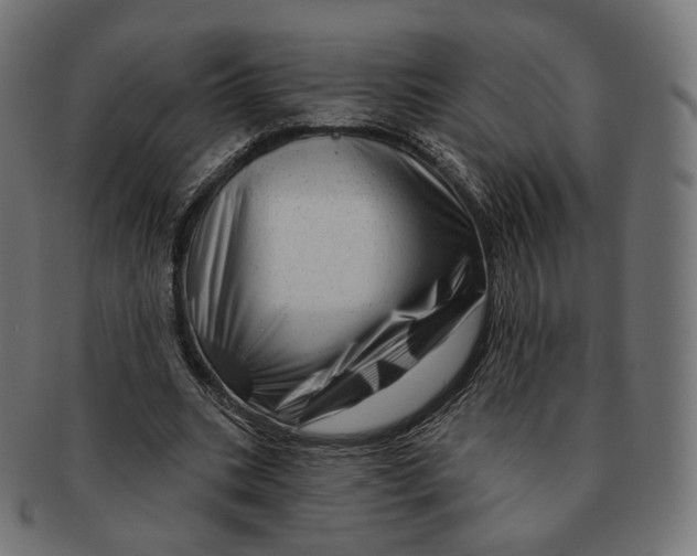 X0000091720535200709211003